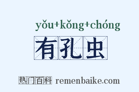 有孔虫是什么意思的图片